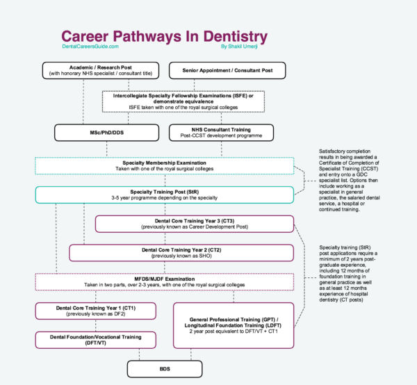 Career Pathways in Dentistry | Dental Careers Guide